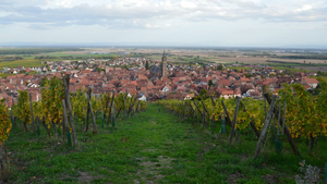 Vidange fosse septique Lingolsheim